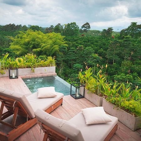 Amanatu Ecolodge & Spa Quimbaya Kültér fotó