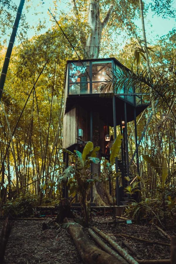 Amanatu Ecolodge & Spa Quimbaya Kültér fotó