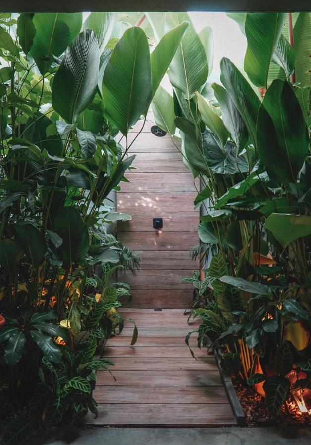Amanatu Ecolodge & Spa Quimbaya Kültér fotó