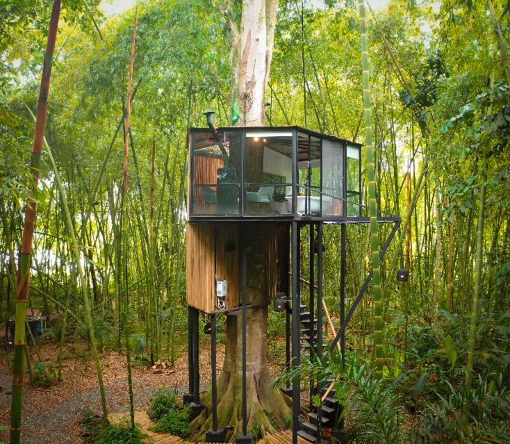 Amanatu Ecolodge & Spa Quimbaya Kültér fotó