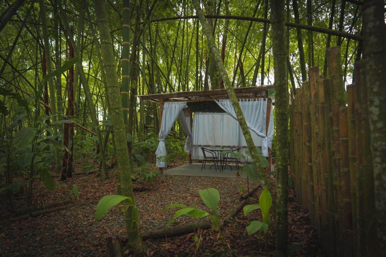 Amanatu Ecolodge & Spa Quimbaya Kültér fotó