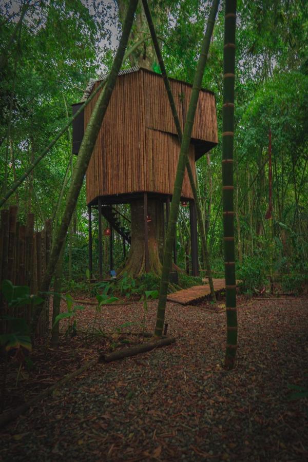 Amanatu Ecolodge & Spa Quimbaya Kültér fotó