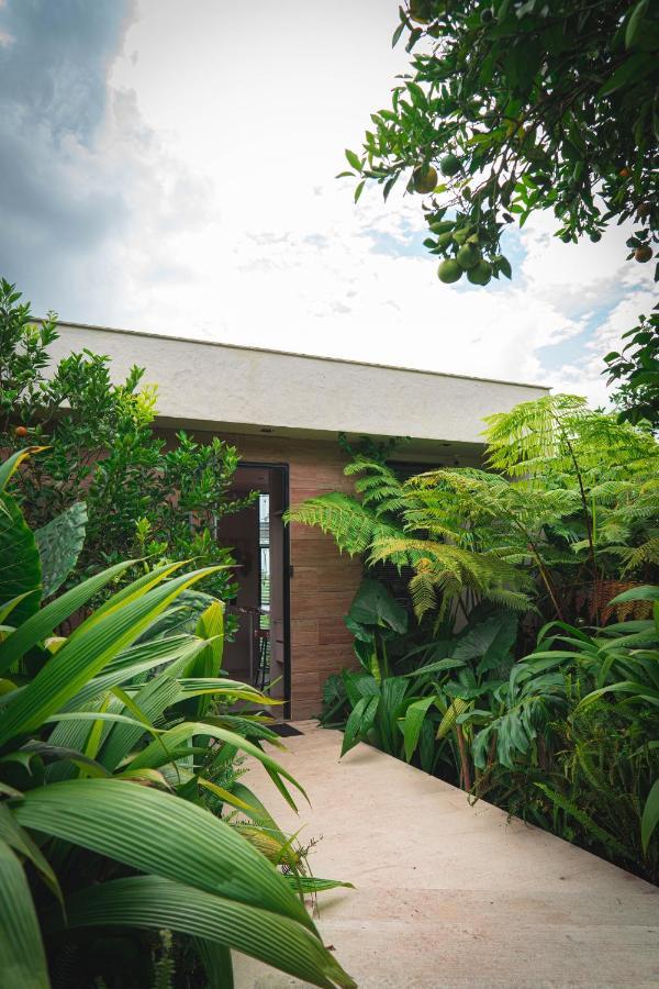Amanatu Ecolodge & Spa Quimbaya Kültér fotó