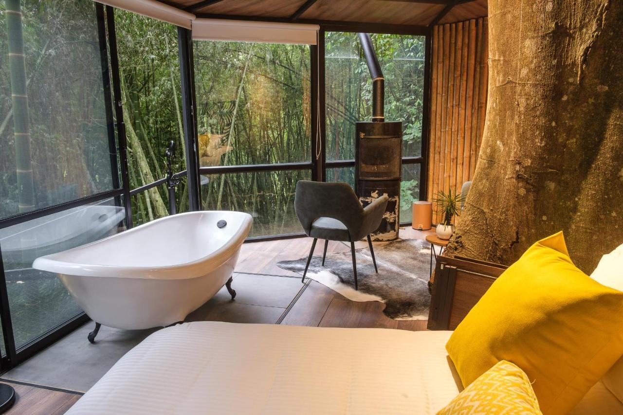 Amanatu Ecolodge & Spa Quimbaya Kültér fotó